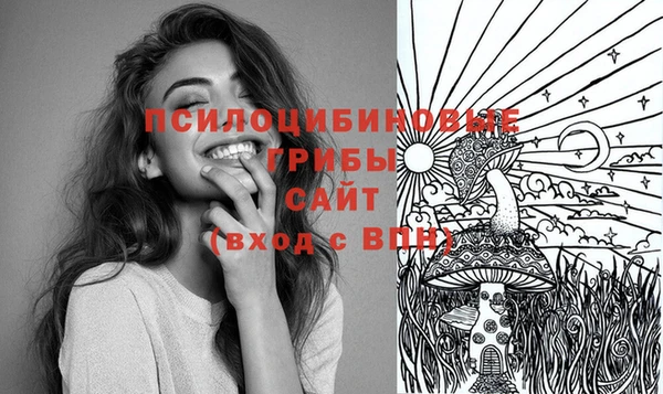 ГАЛЛЮЦИНОГЕННЫЕ ГРИБЫ Наволоки