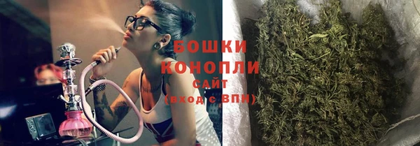 ПСИЛОЦИБИНОВЫЕ ГРИБЫ Михайловка