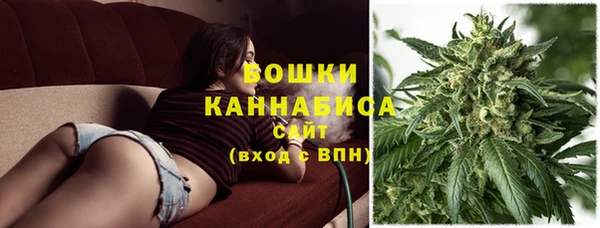 ПСИЛОЦИБИНОВЫЕ ГРИБЫ Михайловка