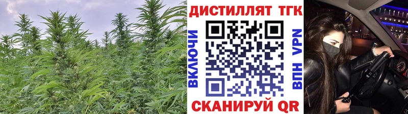 сколько стоит  Копейск  OMG ссылки  ТГК THC oil 