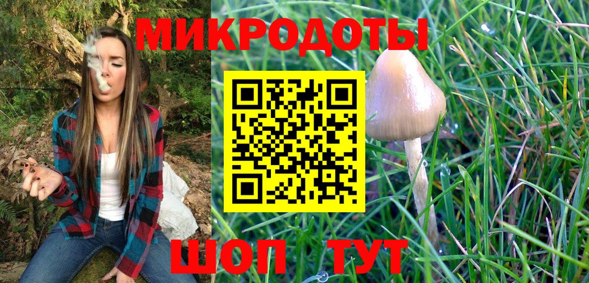 Галлюциногенные грибы GOLDEN TEACHER  Копейск 