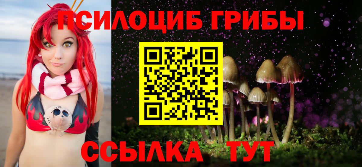 Копейск  Псилоцибиновые грибы Psilocybine cubensis  где найти   Галлюциногенные грибы Psilocybine cubensis  Вход с VPN 