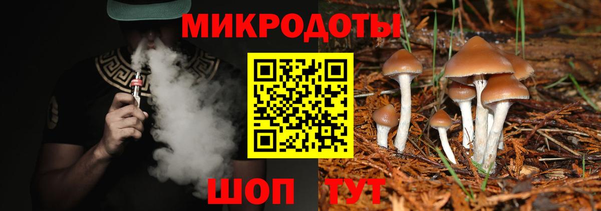Галлюциногенные грибы Psilocybine cubensis Копейск